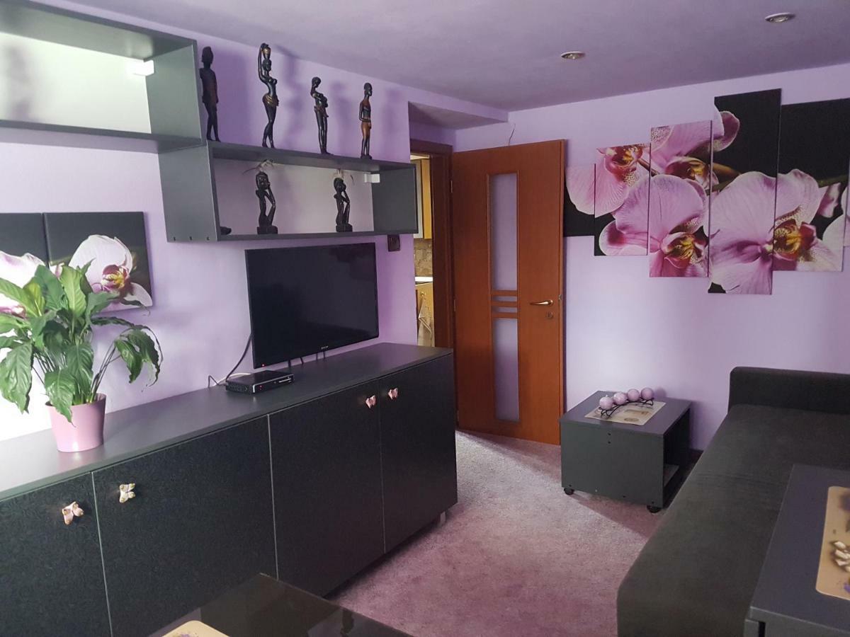 Apartment Alta Liptovský Mikuláš 外观 照片